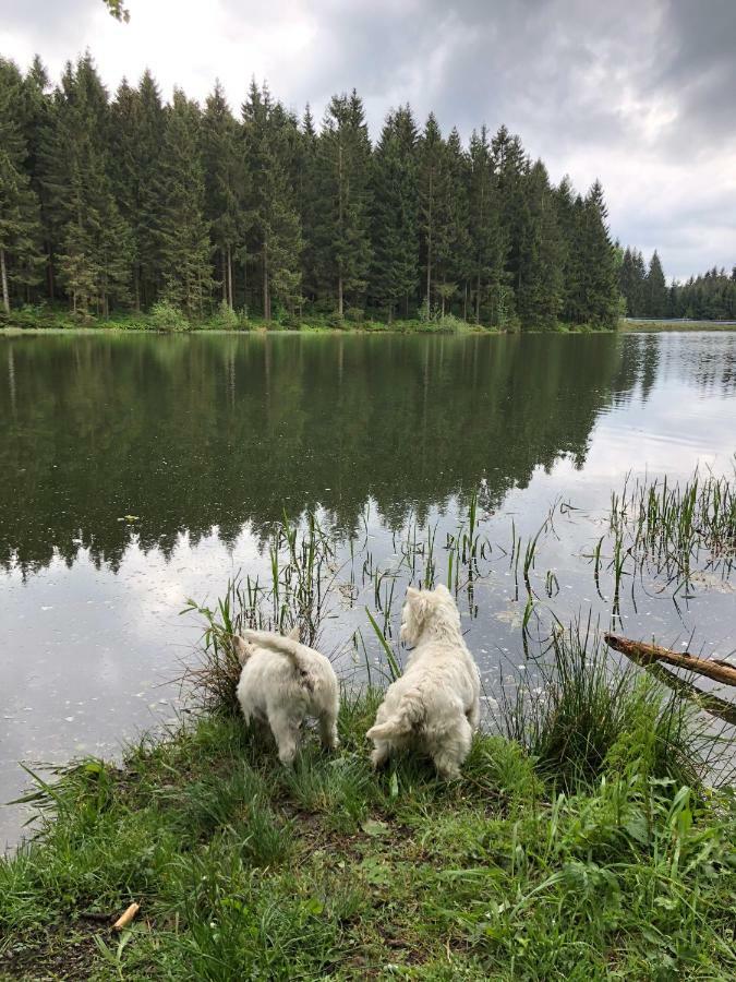 Hahnenklee Ferienpark 7-511 Гослар Екстериор снимка