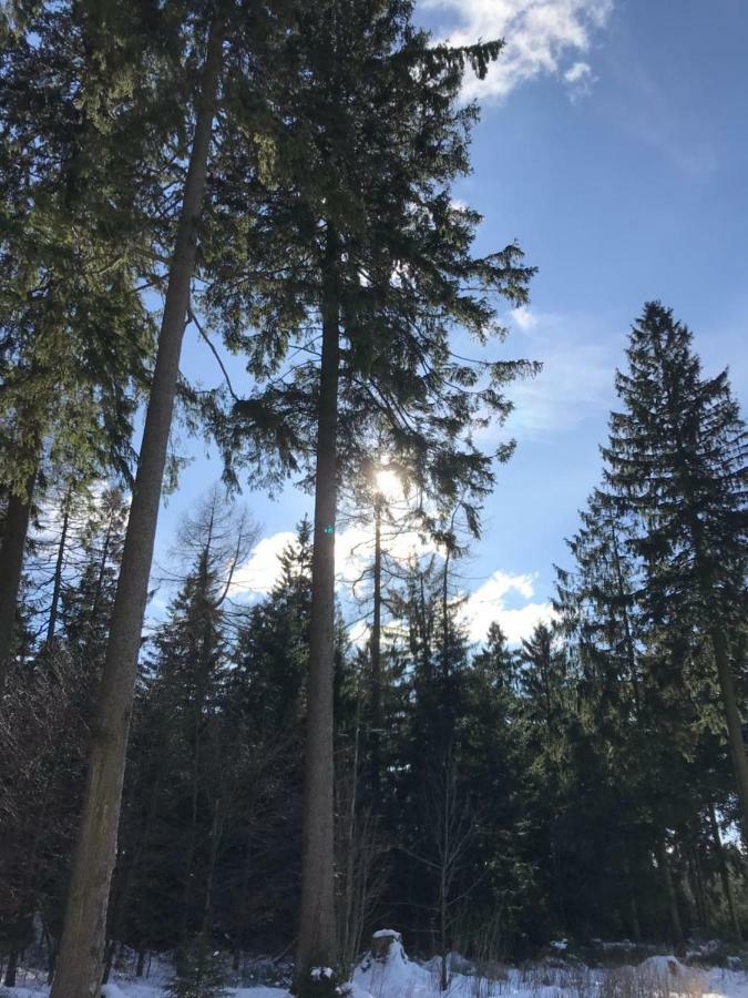 Hahnenklee Ferienpark 7-511 Гослар Екстериор снимка