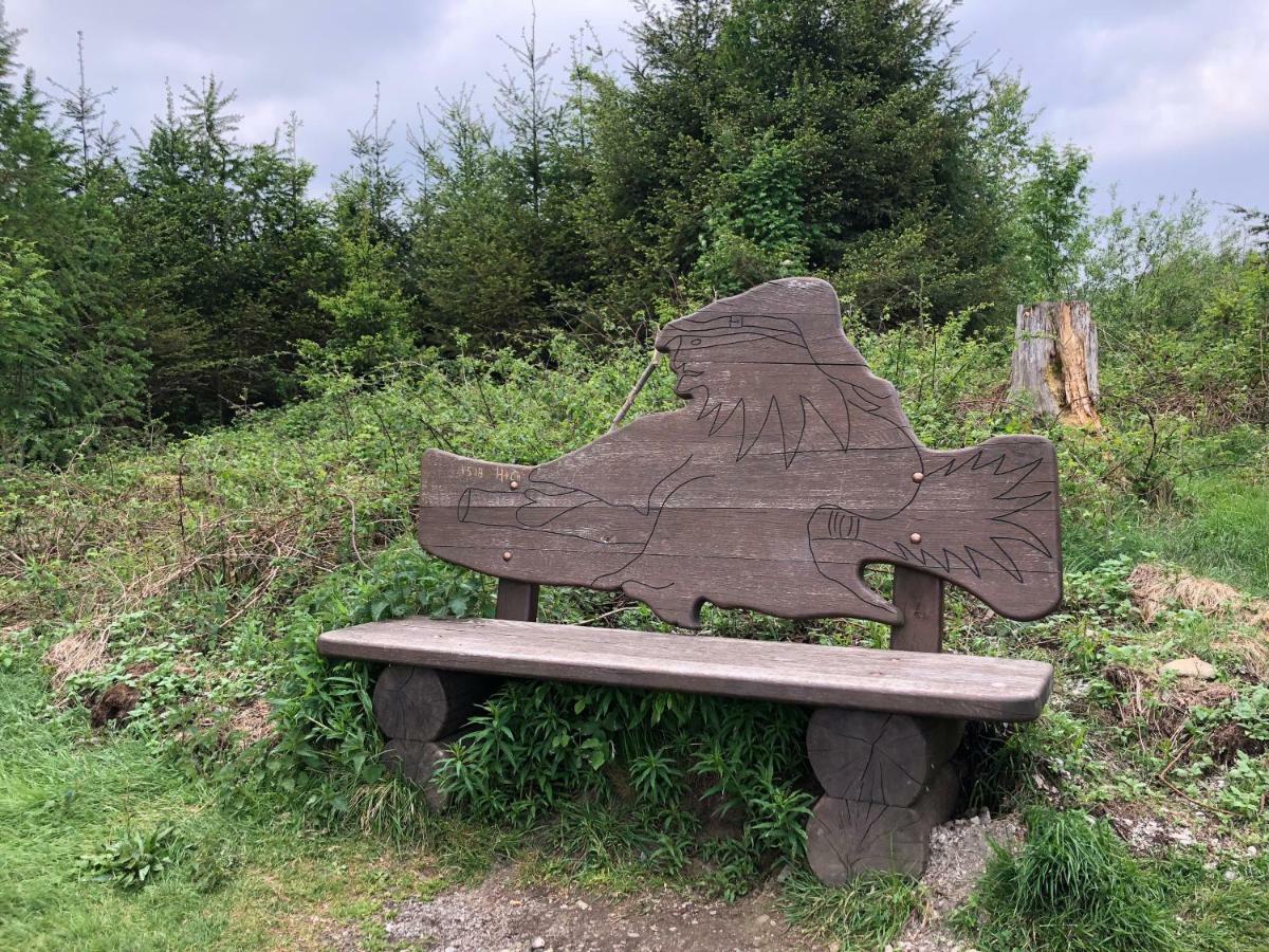 Hahnenklee Ferienpark 7-511 Гослар Екстериор снимка