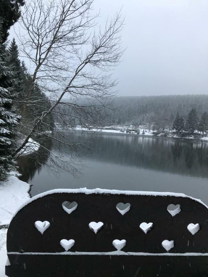 Hahnenklee Ferienpark 7-511 Гослар Екстериор снимка