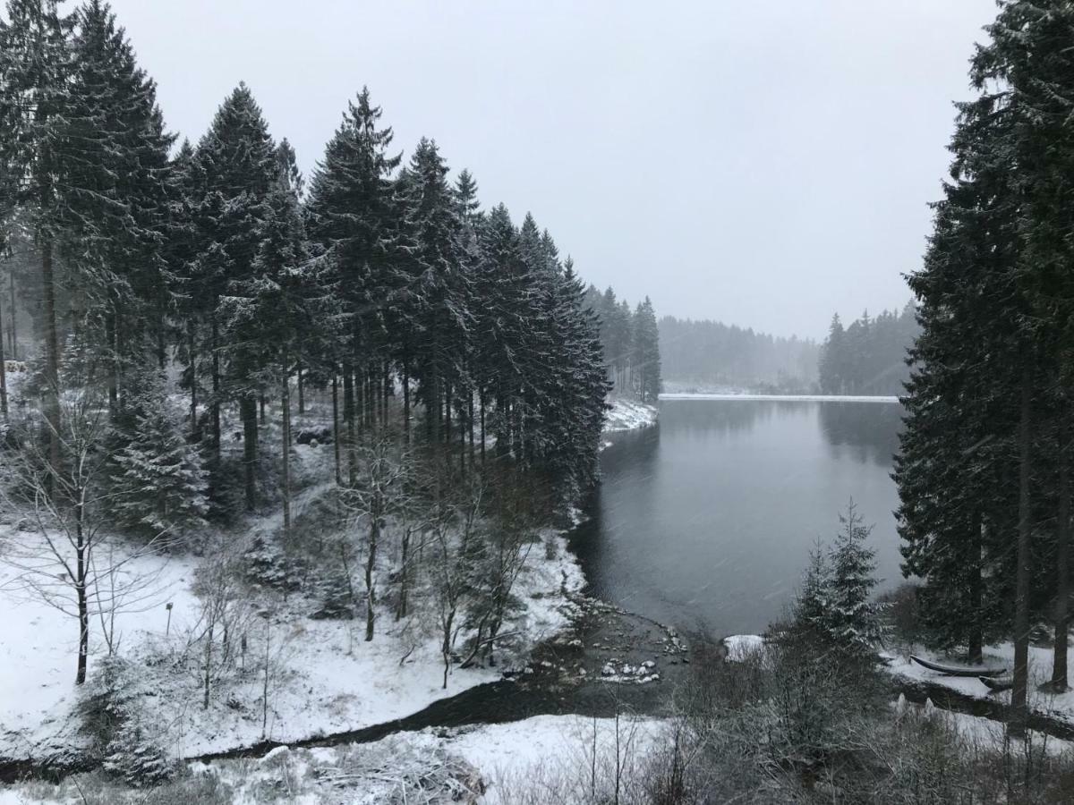 Hahnenklee Ferienpark 7-511 Гослар Екстериор снимка